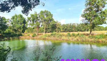 Ba To Lakeview - Bà Rịa - Vũng Tàu