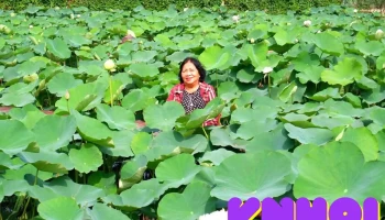 Bách Nhật Hoa Viên - Tiền Giang