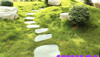Bãi tắm Đại Lâm - Thác Mây - Thanh Hóa
