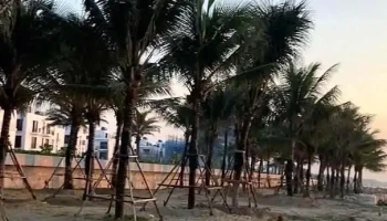 Biển quảng hải - Thanh Hóa
