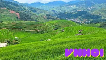Bản Tèn - Ruộng bậc thang hoa Tam giác mạch - Thái Nguyên