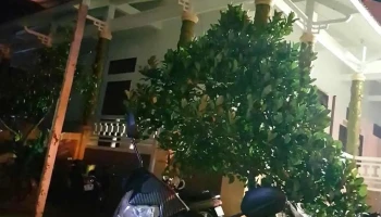 Bảo Tàng Tỉnh Hậu Giang - Hậu Giang