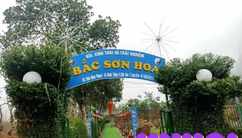 Bắc Sơn Hoa - Lạng Sơn