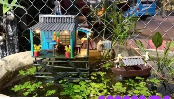 Cá Cảnh Tam Nông - Tt. Tràm Chim