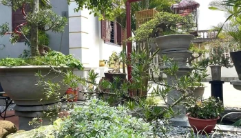 Cà phê sân vườn hưng yên - Tiên Lữ