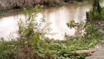Cai Lậy - Tiền Giang