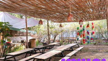 Camping Gió Trị An - Đt767