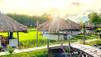 Cánh Đồng Gió - Phước Thuận