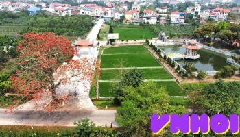 Cây Gạo Thôn Thụy Lân - Đt199