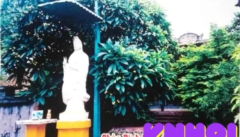 Chùa Bình Tân (chùa Linh Quang) - Đ. Bình Tân