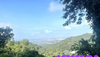 Chùa Hang Tổ - Bà Rịa - Vũng Tàu