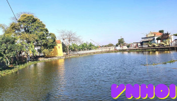 Chùa Lai Thành - Thái Bình