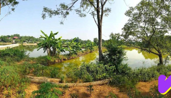 Chùa Linh Sơn, - Thuỵ Liễu