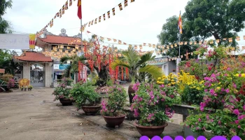 Chùa Từ Nhãn - P. Phú Mỹ Tx