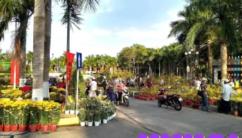 Chợ đêm Hồ Nước Ngọt - Phường 6