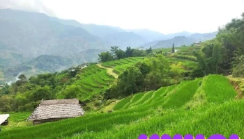 Công ty cổ phần du lịch thương mại Hà Giang - Hagiangtourism Agency - Hà Giang