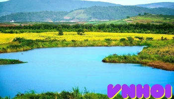 Công Ty Cổ phần Sữa Đà Lạt - Tu Tra