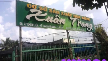 Cơ Sở Hoa Kiểng Xuân Trang - Tân Khánh Đông
