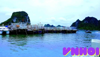 Cảng Cái Rồng - Vân Đồn