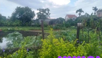 Cầu Âu khánh thiện - Ninh Bình