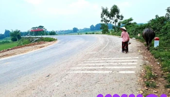 Cầu Bến Gạo - Cầu Gạo