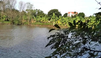 Cầu Sặt - Tráng Liệt