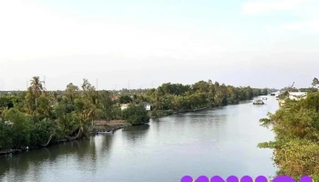 Cầu Thới Bình - Cà Mau