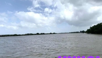 cồn Phú Đa - Bến Tre