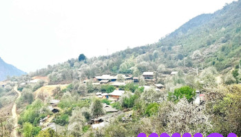 Cổng chào bản Nậm Nghiệp - Ngọc Chiến