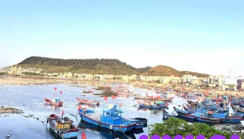 Cổng tò vò - Lý Sơn