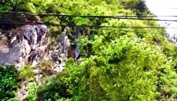 Di chỉ Khảo cổ học Mai Pha - Lạng Sơn