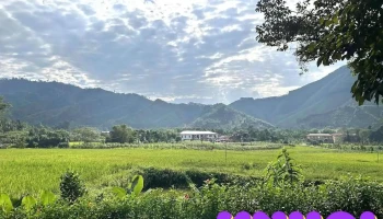 Di tích Chiến Khu Vần - Yên Bái