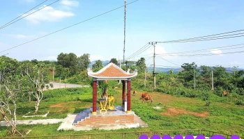 Di tích Chiến thắng Căn cứ Làng Vây - Tân Long