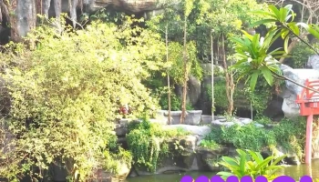 Di TíCH Lịch Sử.vườn Cò - Tiền Giang