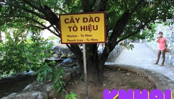Di Tích Nhà Tù Sơn La - P. Tô Hiệu