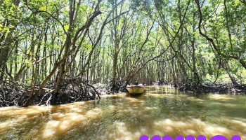 Du lịch Rừng Sác - Cần Giờ - Hồ Chí Minh