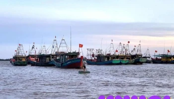 Du Lịch Sinh Thái Cộng Đồng Giao Xuân - Vqg Xuân Thủy - Nam Định