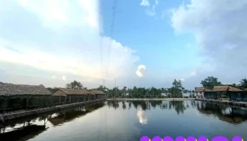 Du Lịch Sinh Thái Miệt vườn Huy Hoàng - Bến Tre