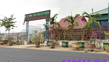 Du lịch V.i.p - Ninh Bình