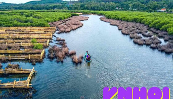 Dịch vụ du lịch Bàu Cá Cái Hai Thái - Bình Sơn