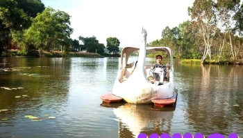 EnCamp - Điểm cắm trại, du lịch trải nghiệm - Vĩnh Phúc
