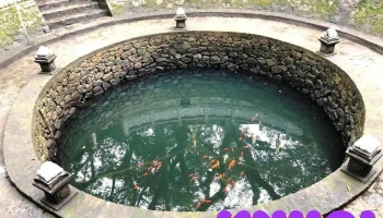 Giếng Mắt Rồng - Vĩnh Phúc