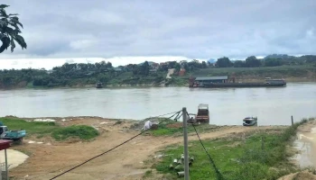Gốc gạo Đoan Hùng - Tt. Đoan Hùng