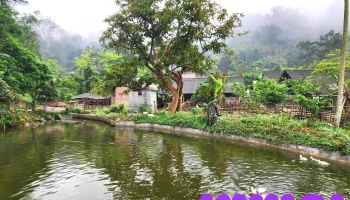 Hang Lạng - Road