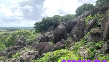 Hang Quân Y Hòn Đất - Kiên Giang