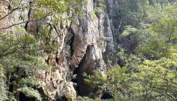 Hang Thuỷ Cung - Bố Trạch