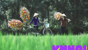 Hoa Giấy Thanh Tiên - Thành Phố Huế