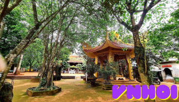 Huyệt Đạo Am Tiên - Mậu Lâm