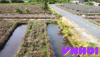 Hỏa Tiến - Hậu Giang