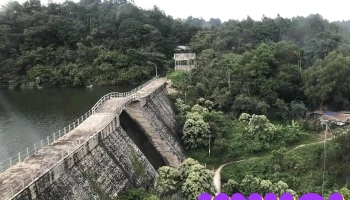 Hồ Thanh Long - An Giang